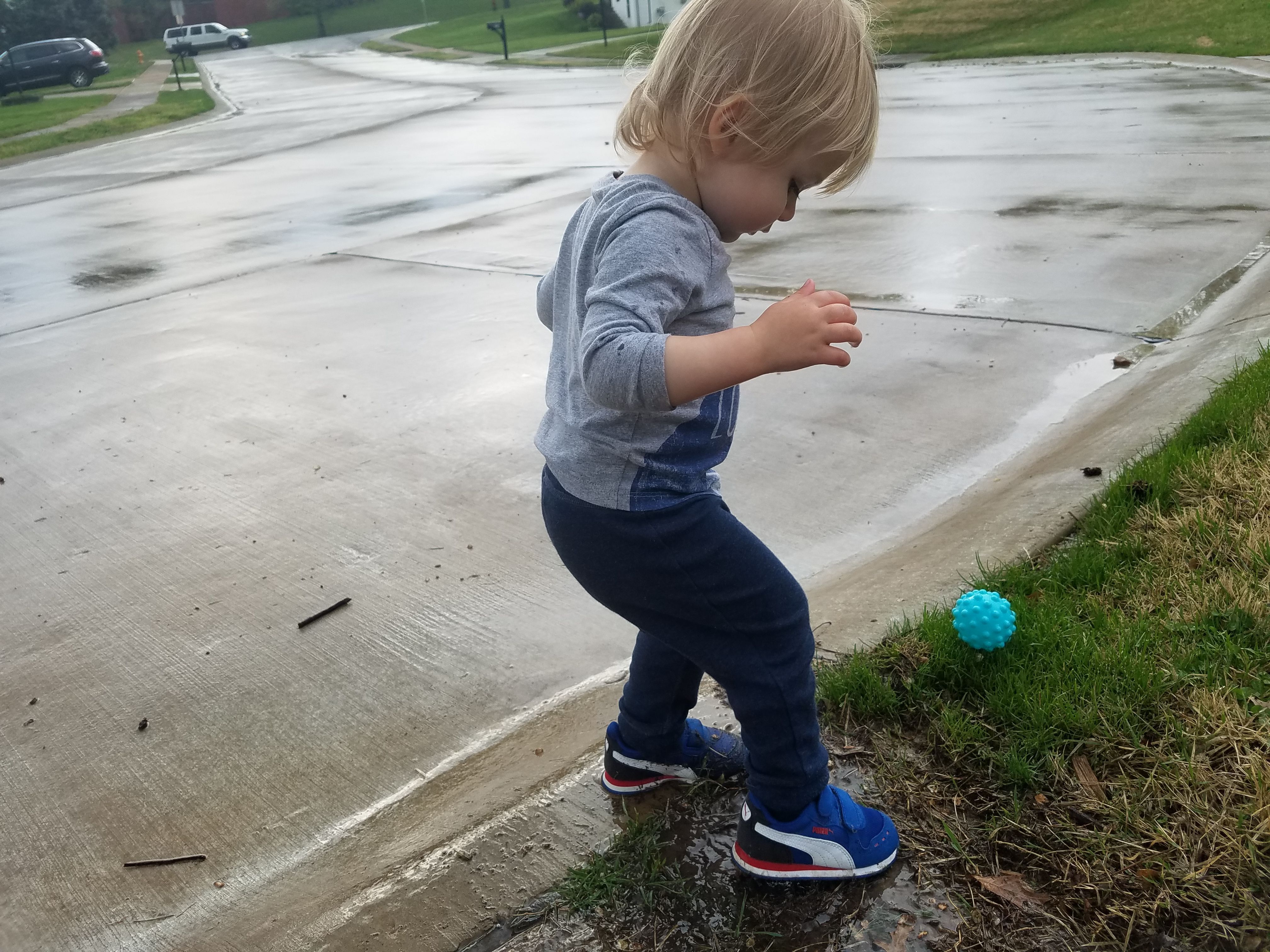 Mud Pies